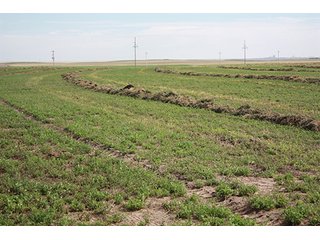 Property photo 100 - LAND AUCTION, 3255+/- Acres offered in 13 Tracts
